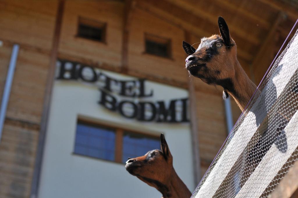 Hotel Bodmi Гриндельвальд Экстерьер фото